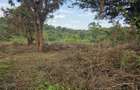 Land in Karen - 1