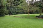 Residential Land at Riara Road - 4