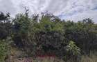 1.00 ac Residential Land at Diani Beach Road - 3