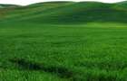Land in Upper Hill - 1
