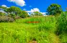 0.2 ha Commercial Land in Ndeiya - 6