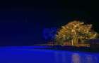 Furnished 9 ac Commercial Property with Service Charge Included at Funzi Island - 4