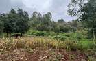 0.42 ac Residential Land at Kirawa Road - 10