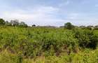 0.125 ac Residential Land at Kiambu - Kamiti Road - 1