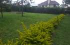 0.1 ha Residential Land in Ongata Rongai - 3