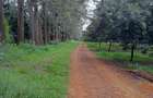 0.5 ac Residential Land at Gatanga Road - 9