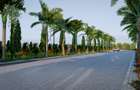 Land in Vipingo - 5