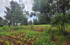 Commercial Property with Service Charge Included at Mutuini Primary - 1
