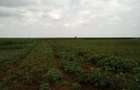 Land at Nanyuki-Rumuruti Rd - 7