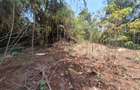 Residential Land in Lavington - 1