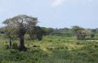 1,012 m² Residential Land at Diani Beach Road - 13