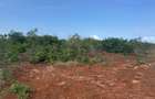 6 ac Land in Kilifi - 2