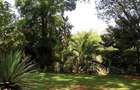 0.75 ac Land at Chalbi Drive - 7