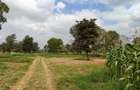 0.25 ac Commercial Land in Kiambu Road - 5