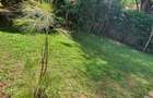 4 Bed Townhouse with En Suite in Lavington - 17