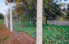 Land in Thika - 1