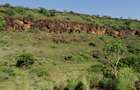100 ac Land at Olepolos - 12