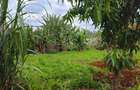 0.25 ac Residential Land at River Side Drive - 4