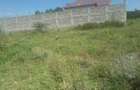 0.25 ac Residential Land in Ongata Rongai - 1