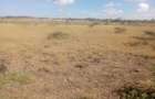 0.25 ac Commercial Land at Korompoi - 8