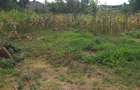 Land in Ngong - 1