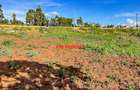 0.1 ha Commercial Land at Muguga - 11