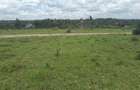 0.1 ha Residential Land in Ongata Rongai - 11