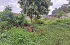 0.5 ac Residential Land at Runda - 17
