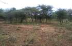 Land at Namanga Rd - 4