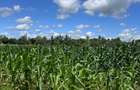 505 m² Land at Mavueni - 3