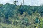 4,046.86 m² Land in Vipingo - 6