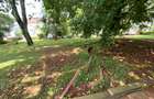3 Bed Apartment with Swimming Pool in Muthaiga - 2