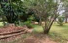 5 Bed Villa with En Suite at Kisembe - 2