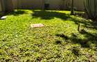 5 Bed Townhouse with En Suite in Lavington - 18