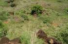 100 ac Land at Olepolos - 10