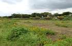 0.5 ac Residential Land in Langata - 4