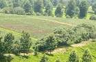 2 ac Land at Karlo Rd - 4