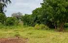 Land at Kilifi Town - 13