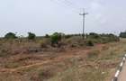 20 ac Land at Kikambala - 6