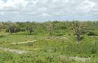 1,012 m² Residential Land at Diani Beach Road - 7