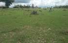 0.1 ha Residential Land in Ongata Rongai - 10