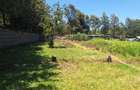 Land in Karen - 1