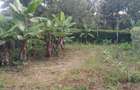 50.100 ft² Land in Ngong - 2
