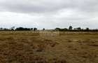 506 m² Land in Kitengela - 1