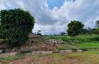 0.5 ac Residential Land at Mumwe Drive - 3