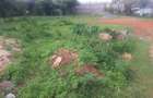 0.125 ac Residential Land in Ongata Rongai - 17