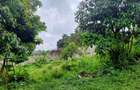 0.5 ac Residential Land at Runda - 11