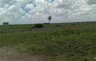 5 ac Land at Segera - 4