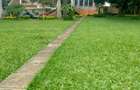 3 Bed House in Runda - 17