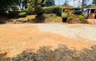 1 ac Land at Banana Raini Road - 3